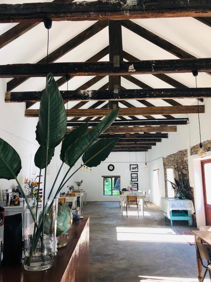 Hotel Seven Fountains Farm Grahamstown Exteriér fotografie
